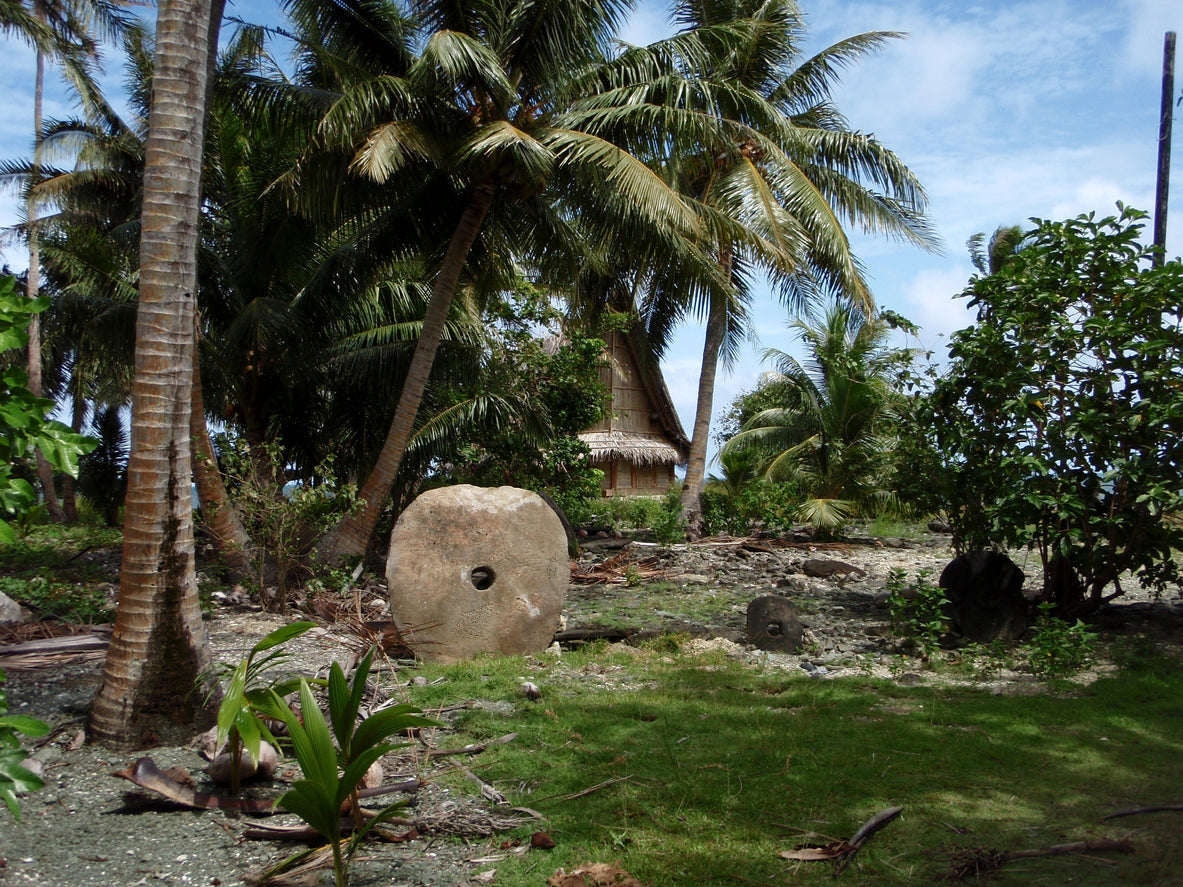 Understanding Micronesia Culture and Sakau