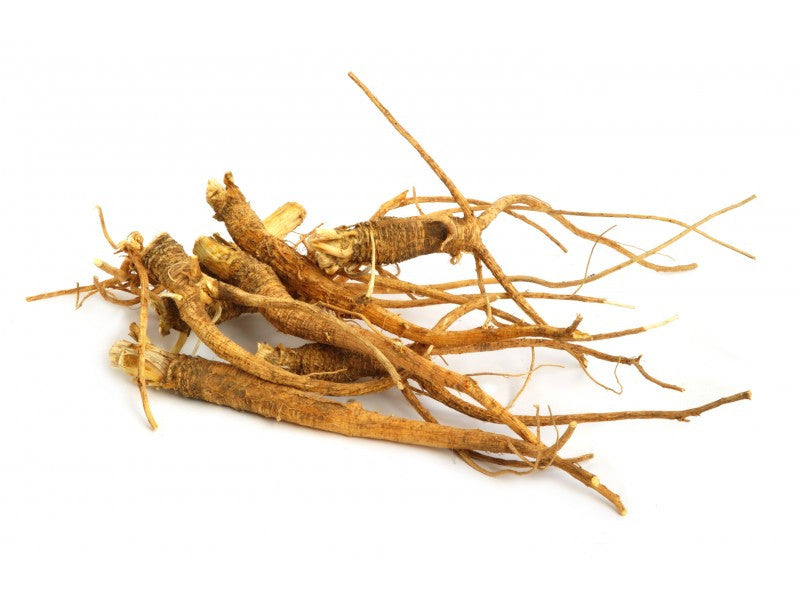 What is BioGinseng™ and how is it different from other "ginseng" products?