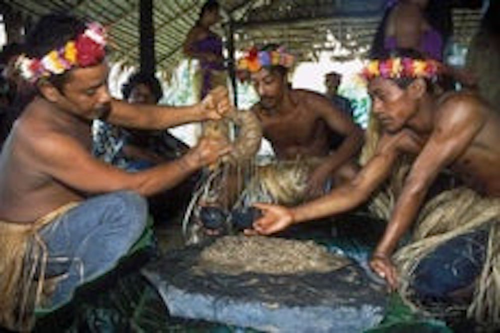 Micronesian Sakau - What is Sakau and what makes it different from other Kava?