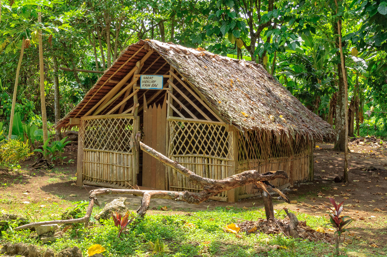 Vanuatu Kava Tradition: Nakamals