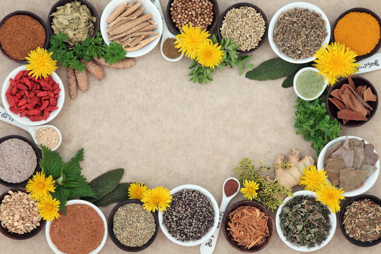 Herbal Remedies to Improve Everyday Health