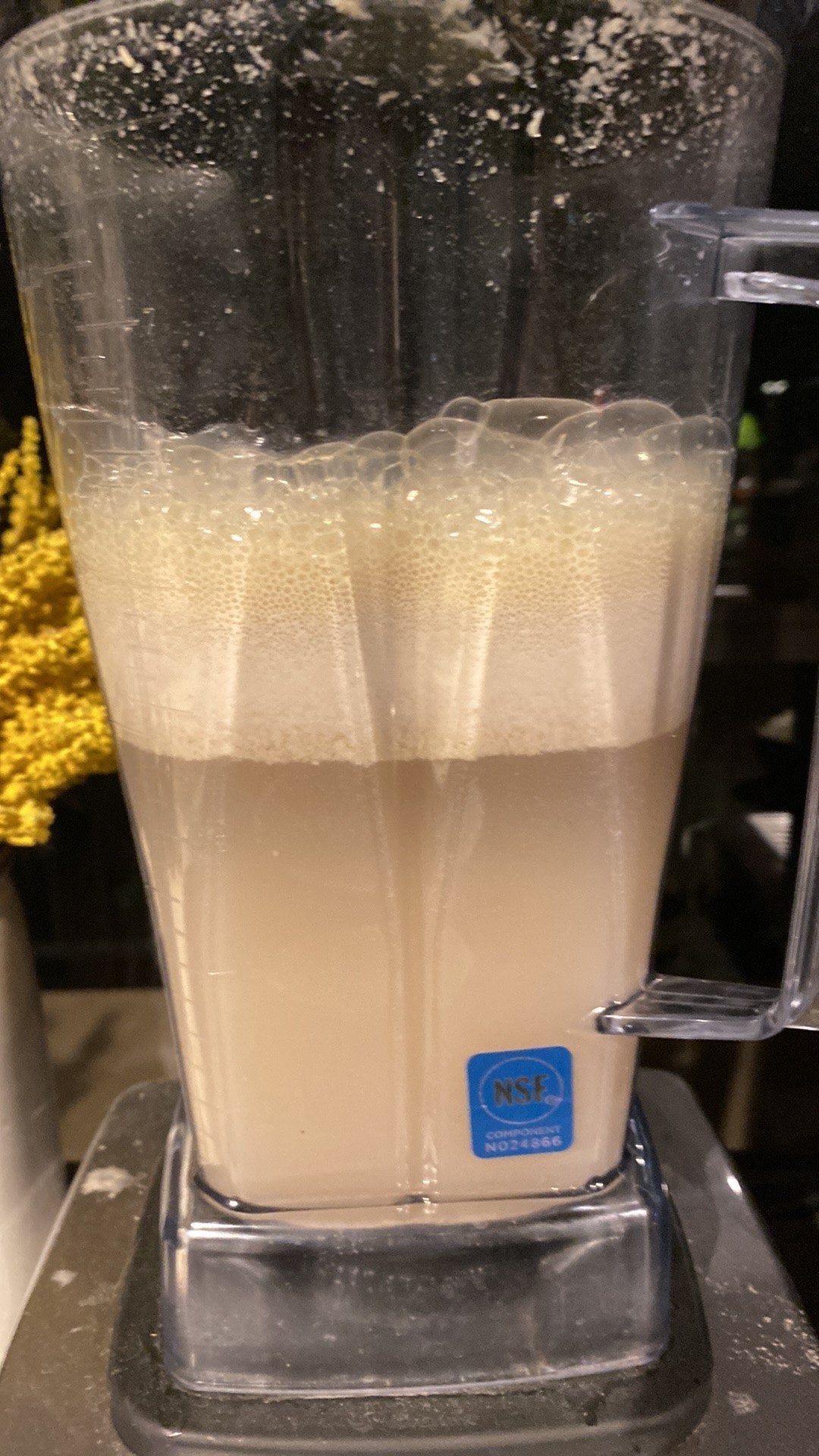 Blender jar of freshly macerated kava with a thick foam emulsion carrying a yellow tinge