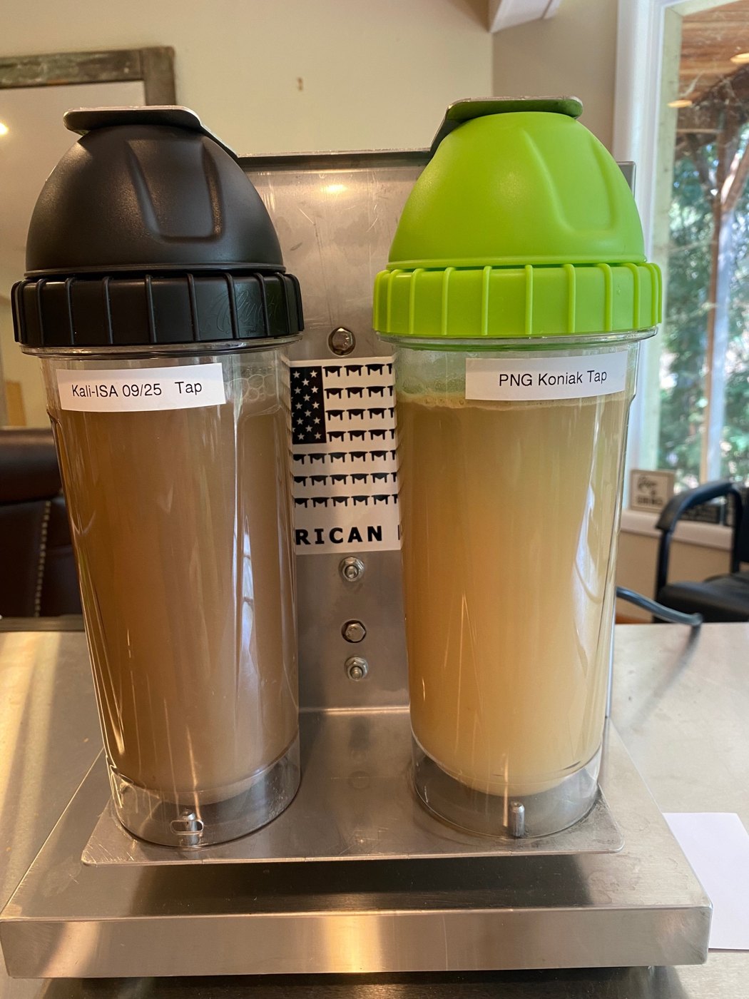 Two Alu Shaker bottles holding opaque tan kava beverages labeled Kali-ISA and PNG Koniak immediately after a single 60-second extraction