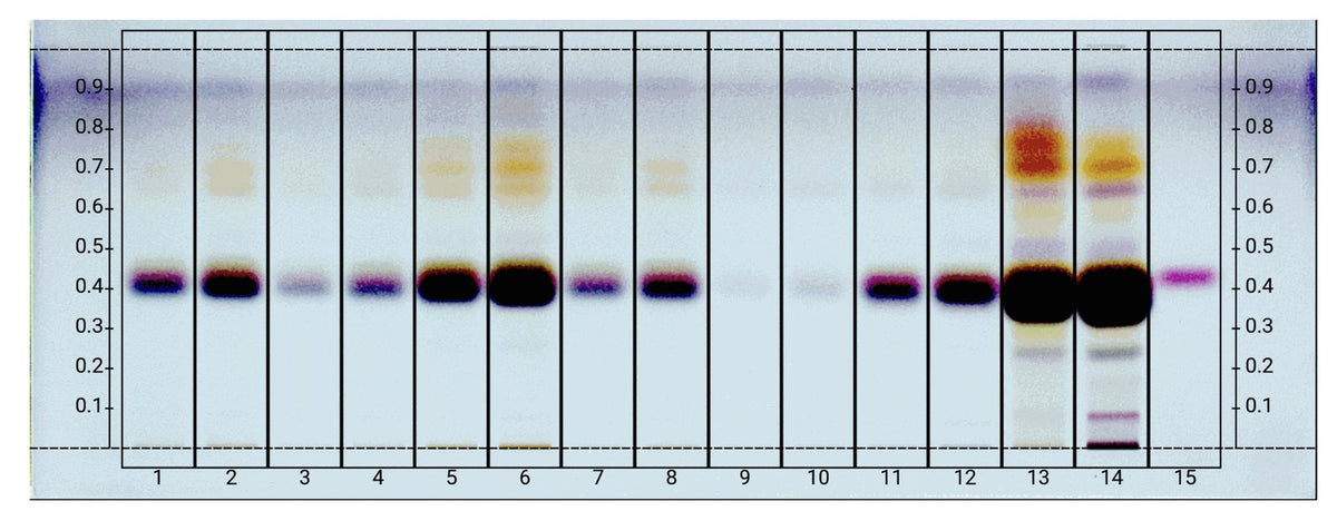 HPTLC chromatogram under derivatized white light after vanillin-sulfuric acid treatment, showing an intense band at Rf 0.4 in the Kali-ISA, Kali-Rogu and Kali-Hiwa lanes matching the reference lanes