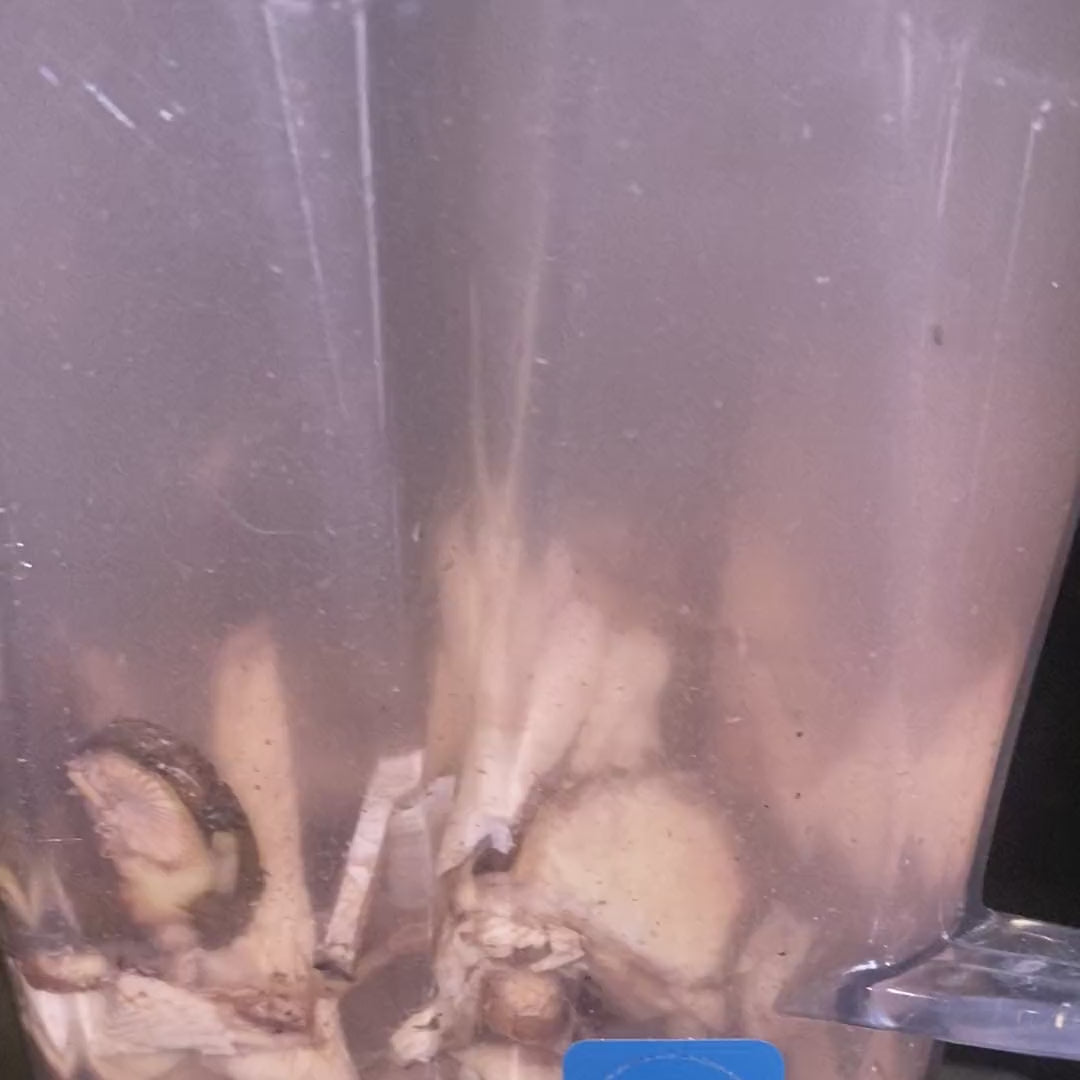 Thirty-second high-speed maceration of thawed fresh frozen kava homogenate in a Vitamix 5200