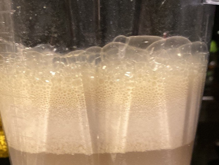 Close view of a blender jar of fresh kava with a thick foam emulsion on top showing a yellow tinge